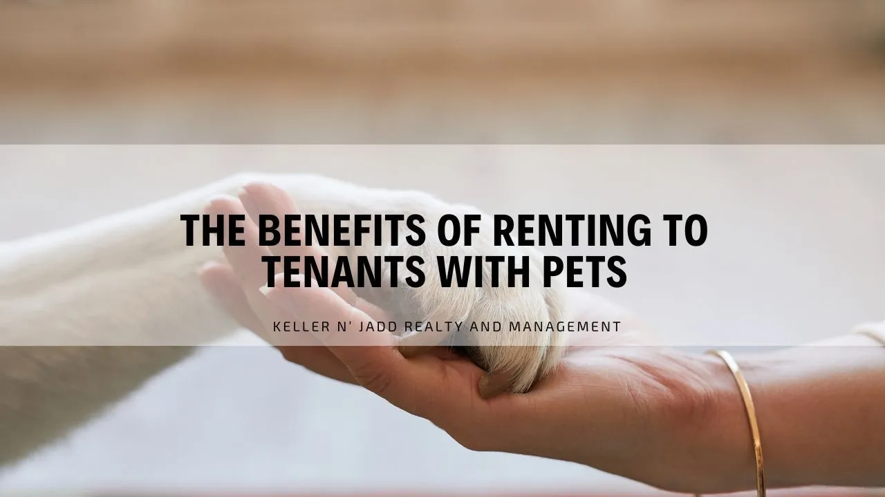 The Benefits of Renting to Tenants with Pets