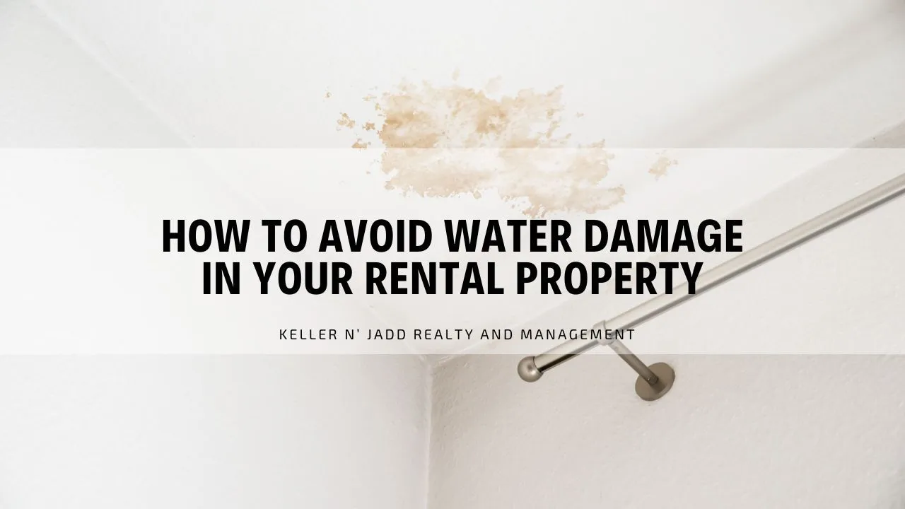 How to Avoid Water Damage in Your Rental Property